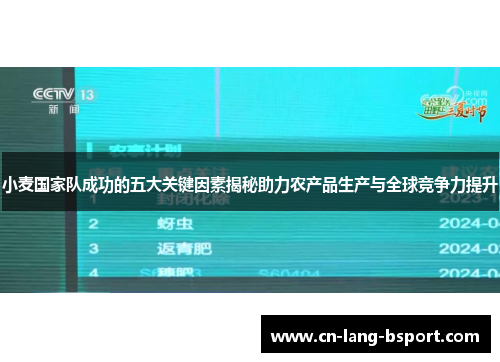 小麦国家队成功的五大关键因素揭秘助力农产品生产与全球竞争力提升