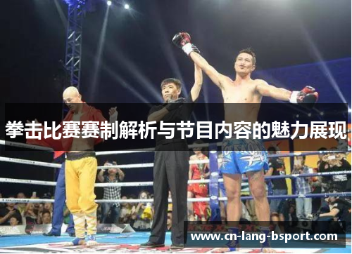 拳击比赛赛制解析与节目内容的魅力展现