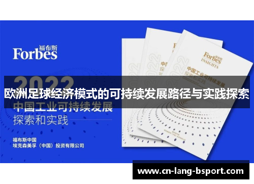 欧洲足球经济模式的可持续发展路径与实践探索 欧洲足球经济模式的可持续发展路径与实践探索