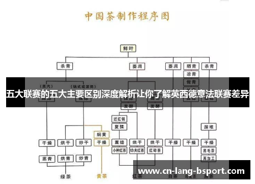 五大联赛的五大主要区别深度解析让你了解英西德意法联赛差异