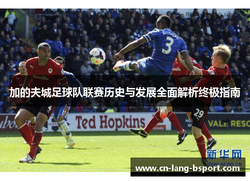 加的夫城足球队联赛历史与发展全面解析终极指南 加的夫城足球队联赛历史与发展全面解析终极指南