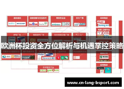 欧洲杯投资全方位解析与机遇掌控策略