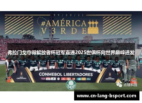 弗拉门戈夺得解放者杯冠军直通2025世俱杯向世界巅峰进发
