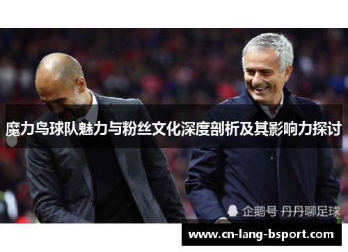 魔力鸟球队魅力与粉丝文化深度剖析及其影响力探讨 魔力鸟球队魅力与粉丝文化深度剖析及其影响力探讨